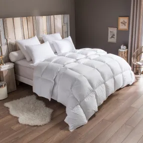 Couette Extrême TEMPEREE - 90 % Duvet d'Oie Neuf